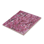Roze muur van kersenbloesems Tegel Tegeltje (Zijkant)