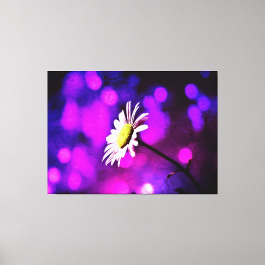 Roze N Amethyst Daisy Wrapped Canvas Afdruk (Voorkant)
