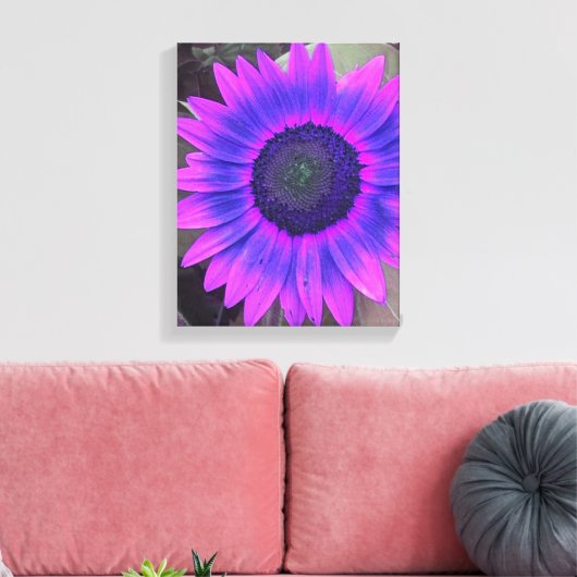 Roze N Paarse Zonnebloem Verpakt Canvas (Insitu (Woonkamer))