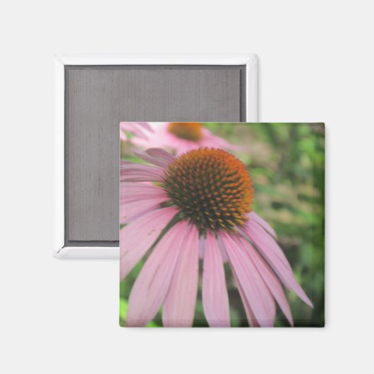 Roze naaldmagneten magneet (Voorkant / Achterkant)