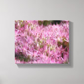 Roze najaarsbloemen sluiten dicht canvas afdruk (Voorkant)
