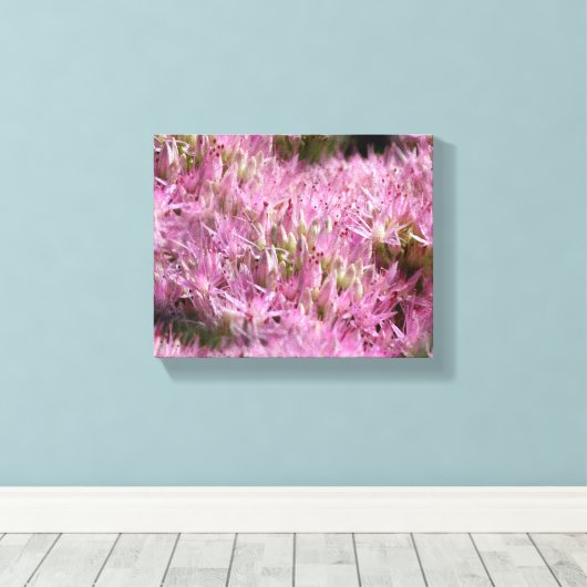 Roze najaarsbloemen sluiten dicht canvas afdruk (Insitu (Houten vloer))