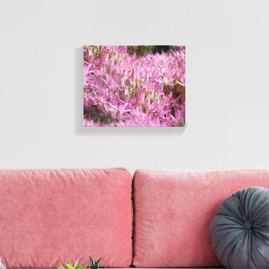 Roze najaarsbloemen sluiten dicht canvas afdruk (Insitu (Woonkamer))