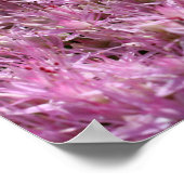 Roze najaarsbloemen sluiten dicht poster (Hoek)