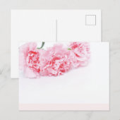 Roze natievloeren op witte achtergrond briefkaart (Voorkant / Achterkant)