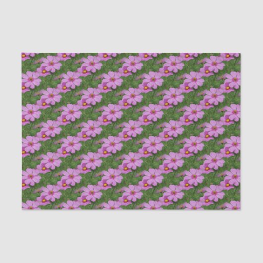 Roze Natuur van Cosmos Flowers Tissuepapier (Voorkant)