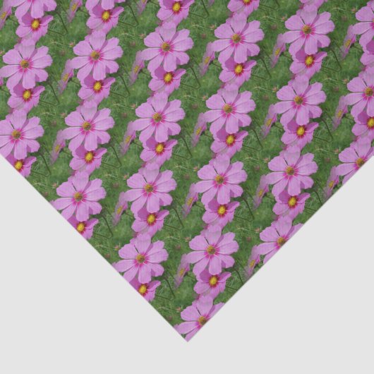 Roze Natuur van Cosmos Flowers Tissuepapier (Detail)