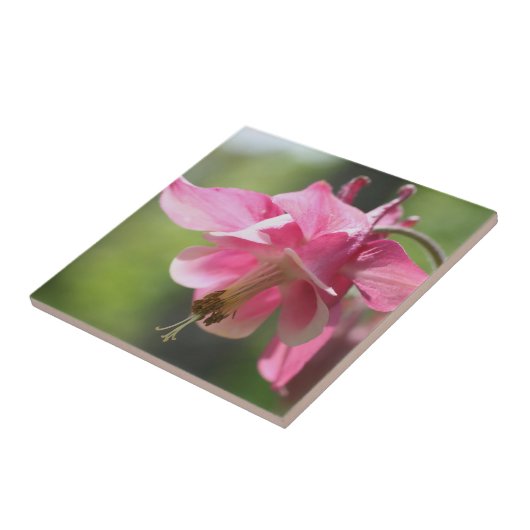 Roze Natuur van de Kolomventilator Tegeltje (Zijkant)