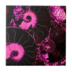 Roze Nautilus fossiel shell patroon Tegeltje