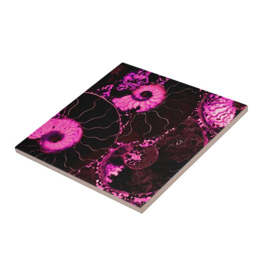 Roze Nautilus fossiel shell patroon Tegeltje (Zijkant)