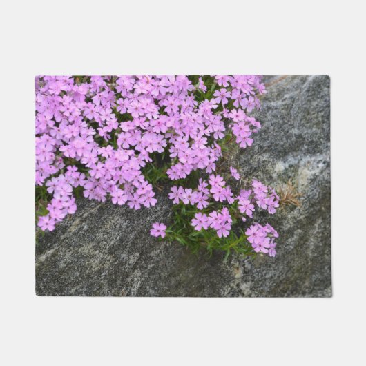 Roze neerslag op raketten deurmat (Voorkant)