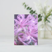 Roze Nerines Briefkaart (Staand voorkant)