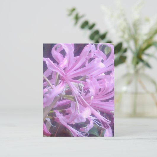 Roze Nerines Briefkaart (Staand voorkant)