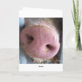 Roze neus Varkenshaar dicht foto Kaart (Achterkant)