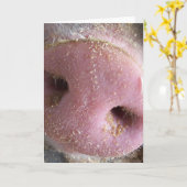 Roze neus Varkenshaar dicht foto Kaart (Gele Bloem)