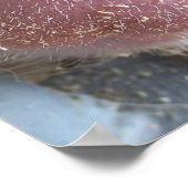 Roze neus Varkenshaar dicht foto Poster (Hoek)