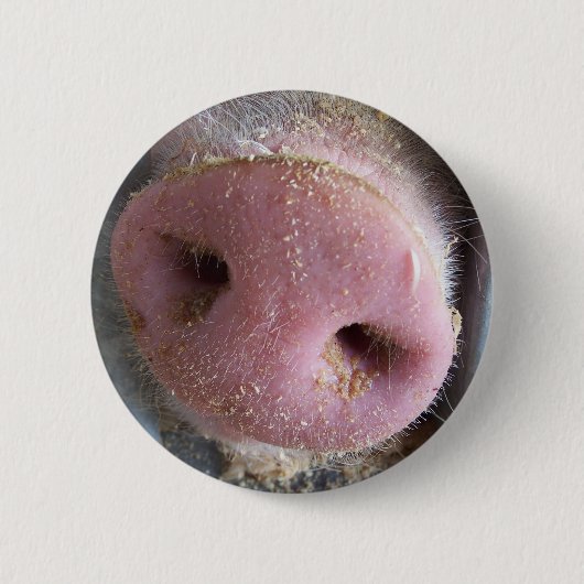 Roze neus Varkenshaar dicht foto Ronde Button 5,7 Cm (Voorkant)
