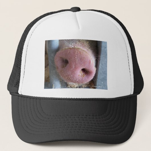 Roze neus Varkenshaar dicht foto Trucker Pet (Voorkant)