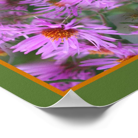 Roze New England Aster Flowers Abstract Poster (Hoek)