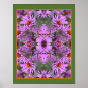 Roze New England Aster Flowers Abstract Poster