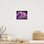 Roze New England Aster Flowers Poster (Keuken)