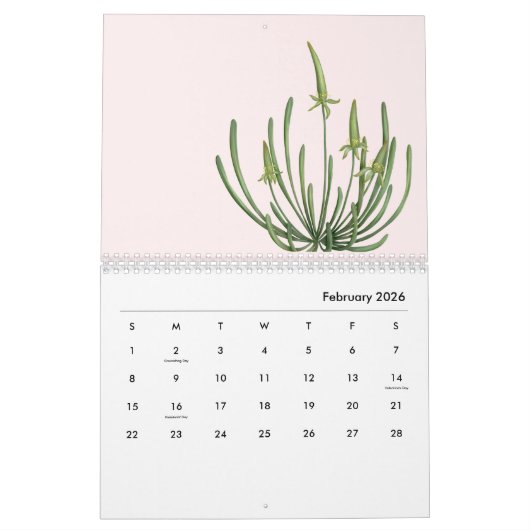 Roze Nordens Wildflower Kalender (Feb 2026)