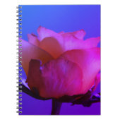 Roze Notitieboek (Voorkant)