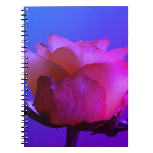Roze Notitieboek (Voorkant)