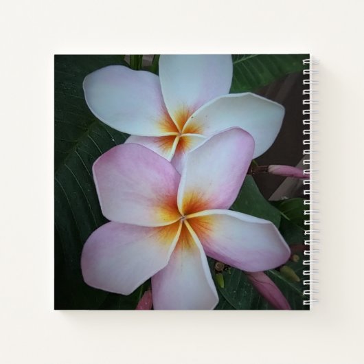 Roze Notitieboek Plumeria Spiral (Achterkant)