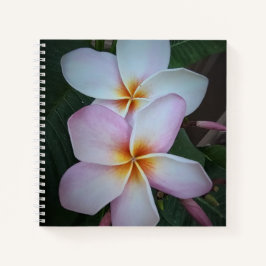 Roze Notitieboek Plumeria Spiral