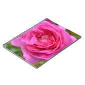 Roze november Roos notebook Notitieboek (Linkerzijde)