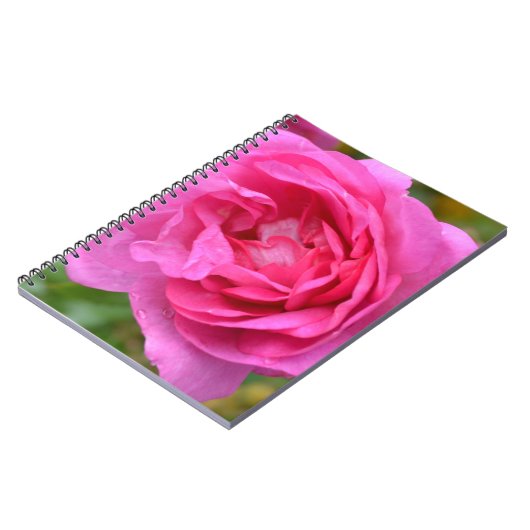 Roze november Roos notebook Notitieboek (Linkerzijde)