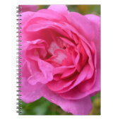 Roze november Roos notebook Notitieboek (Voorkant)