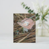 Roze OBX-Briefkaart voor paddenstoelen Briefkaart (Staand voorkant)