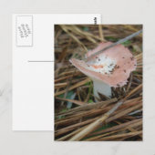 Roze OBX-Briefkaart voor paddenstoelen Briefkaart (Voorkant / Achterkant)