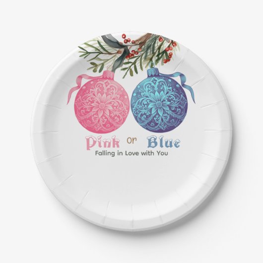 Roze of Blauw Winter Geslacht onthullen Party Papieren Bordje (Voorkant)