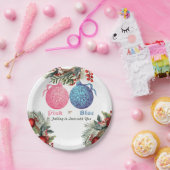 Roze of Blauw Winter Geslacht onthullen Party Papieren Bordje (Feest)