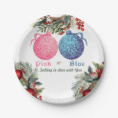 Roze of Blauw Winter Geslacht onthullen Party Papieren Bordje (Voorkant)