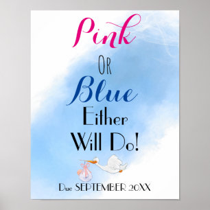 Roze of blauw zal Baby douchen Poster
