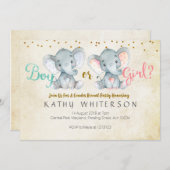 Roze of blauwe olifant gender reveal uitnodiging (Voorkant / Achterkant)