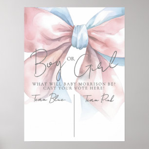 Roze Of Blauwe Strik Geslacht Reveal Feestje Poster