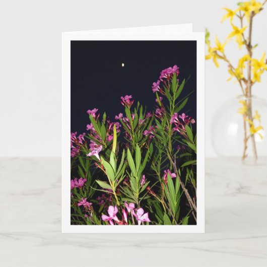 Roze Oleander bij nacht Kaart (Gele Bloem)