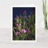 Roze Oleander bij nacht Kaart (Voorkant)