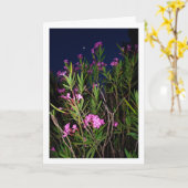 Roze Oleander bij nacht Kaart (Gele Bloem)