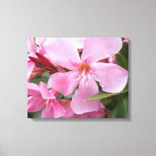 Roze Oleander Bloem Canvasprint Botanische Bloem Canvas Afdruk