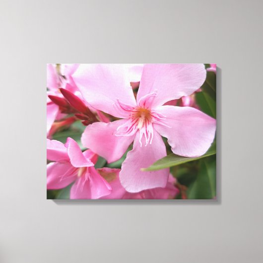 Roze Oleander Bloem Canvasprint | Botanische Bloem Canvas Afdruk (Voorkant)