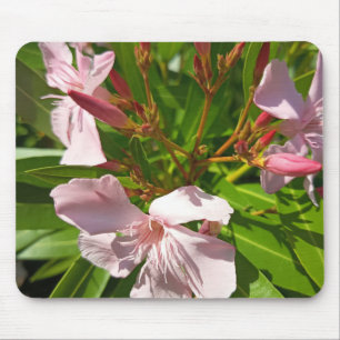 Roze Oleander Bloemige Muismatje Botanische Tuin D Muismat