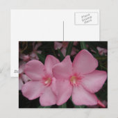 Roze Oleander Briefkaart (Voorkant / Achterkant)