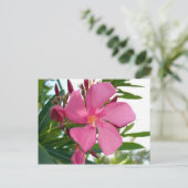 Roze Oleander Foto Briefkaart (Staand voorkant)