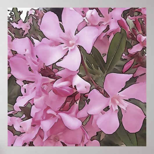 Roze Oleander Roos Laurel Black - Overzicht (Voorkant)